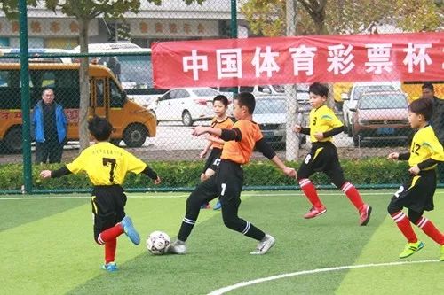 经典案例 第237页