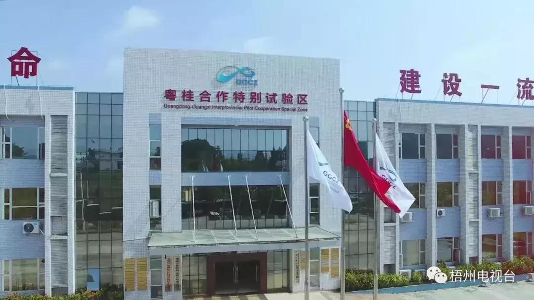 追踪全球财富脉动，国际黄金实时行情与投资策略解析