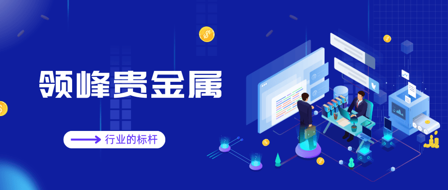 领峰贵金属官方网，打造专业、安全与便捷的在线交易平台