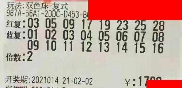 2019年双色球第4期，梦想与幸运的碰撞——揭秘开奖结果