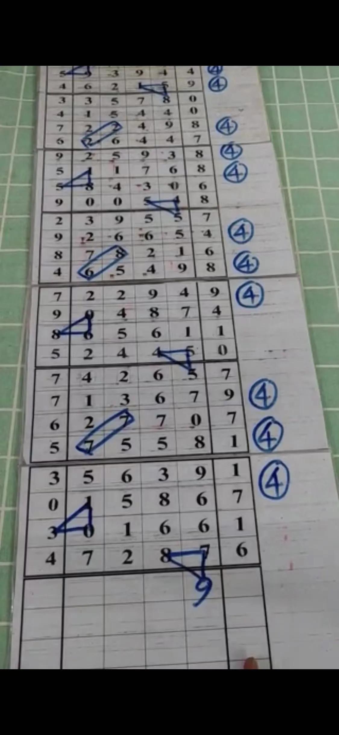 排5带连线走势图，解锁数字彩票的奥秘
