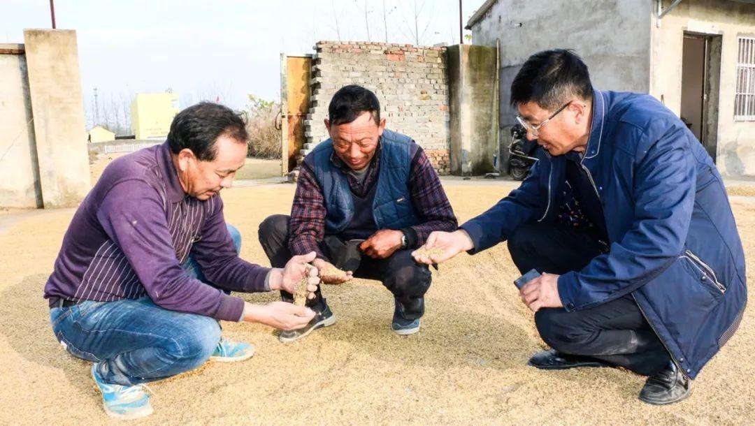 管家婆官网电话，企业管理的智慧之选