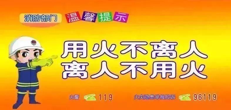 2019年双色球第8期开奖结果揭晓，幸运数字背后的故事与查询指南