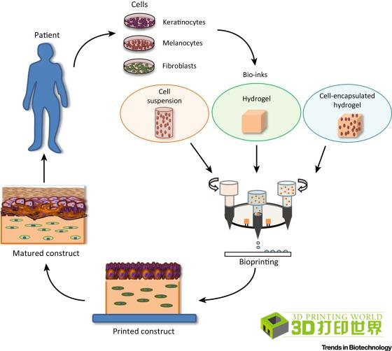 3D打印材料硬度，塑造未来的关键因素