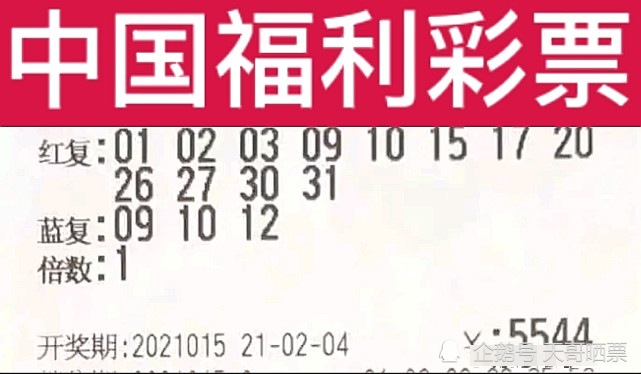 最新双色球开奖结果揭晓，梦想与幸运的碰撞