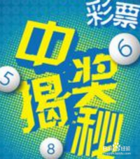 探索中国福彩的奥秘，揭秘中国福利彩票网