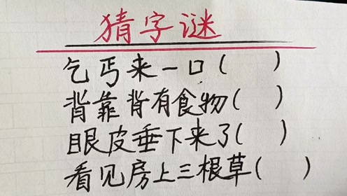 探秘字谜世界，一场智慧与趣味的奇妙之旅——全本精选·汉字故事大全及答案