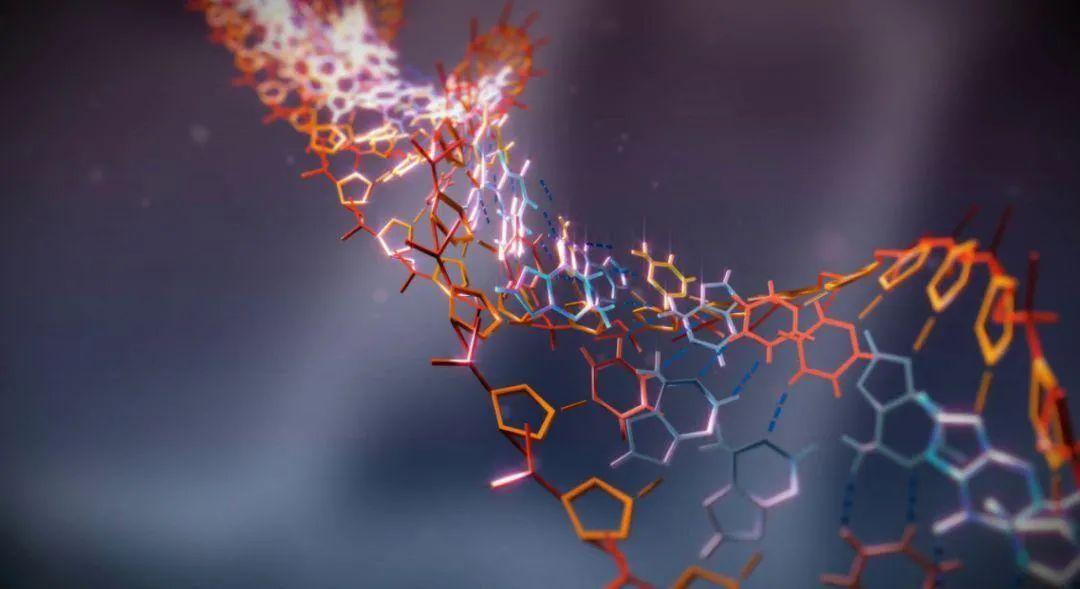 排列五高手，解码数字世界的奥秘