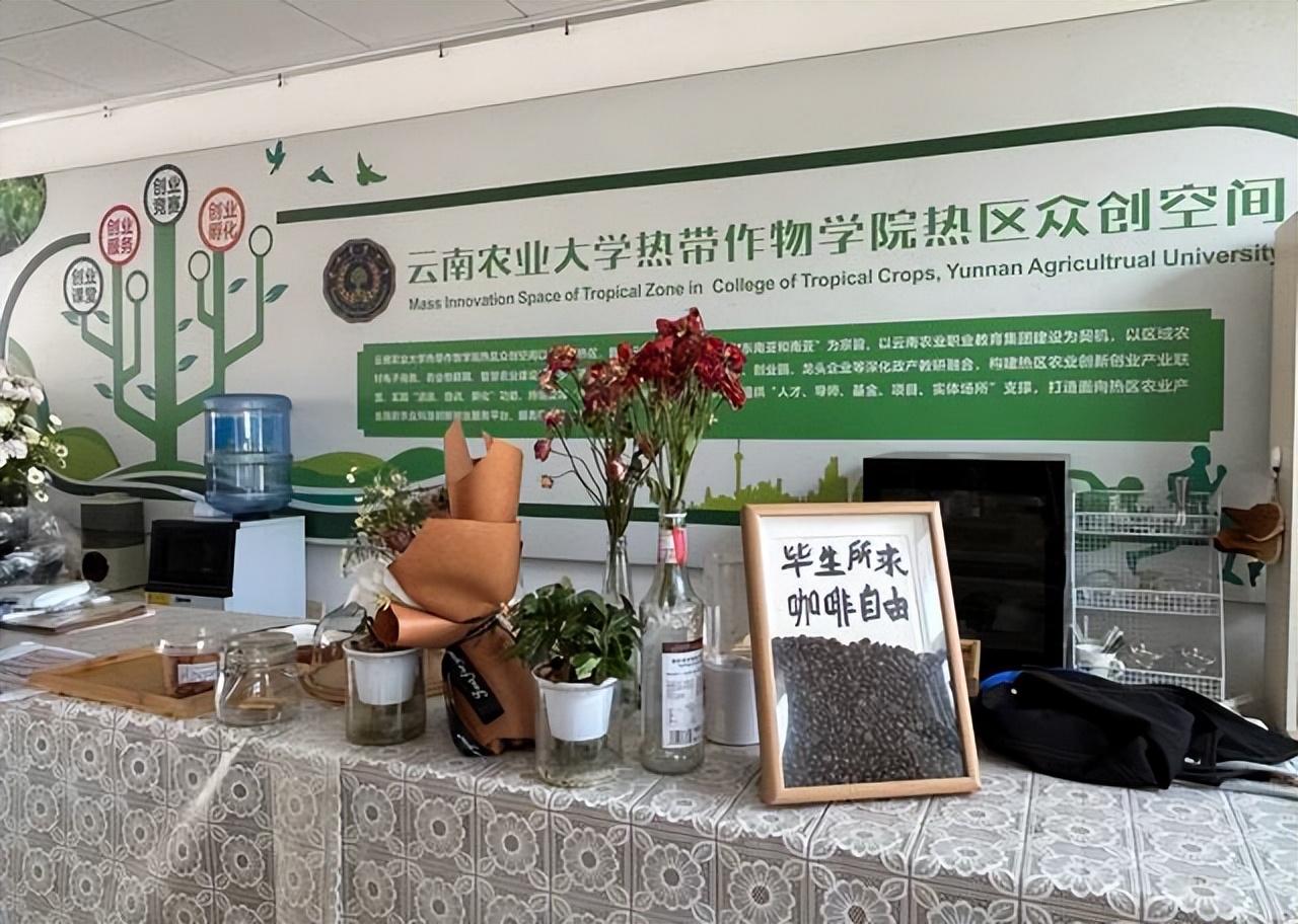 激发创业新精彩，探索在线平台的无限可能