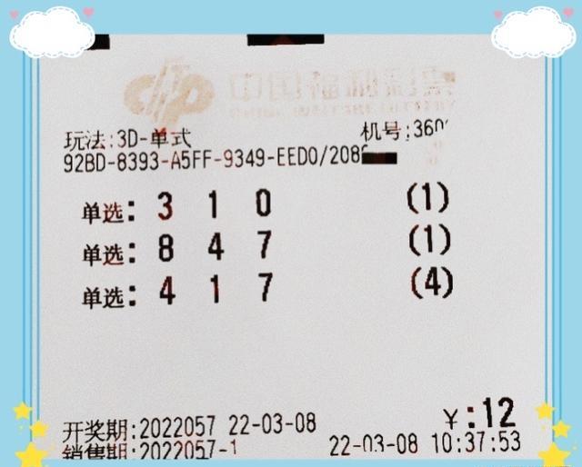 3D试机号106开奖结果，揭秘数字背后的幸运与期待