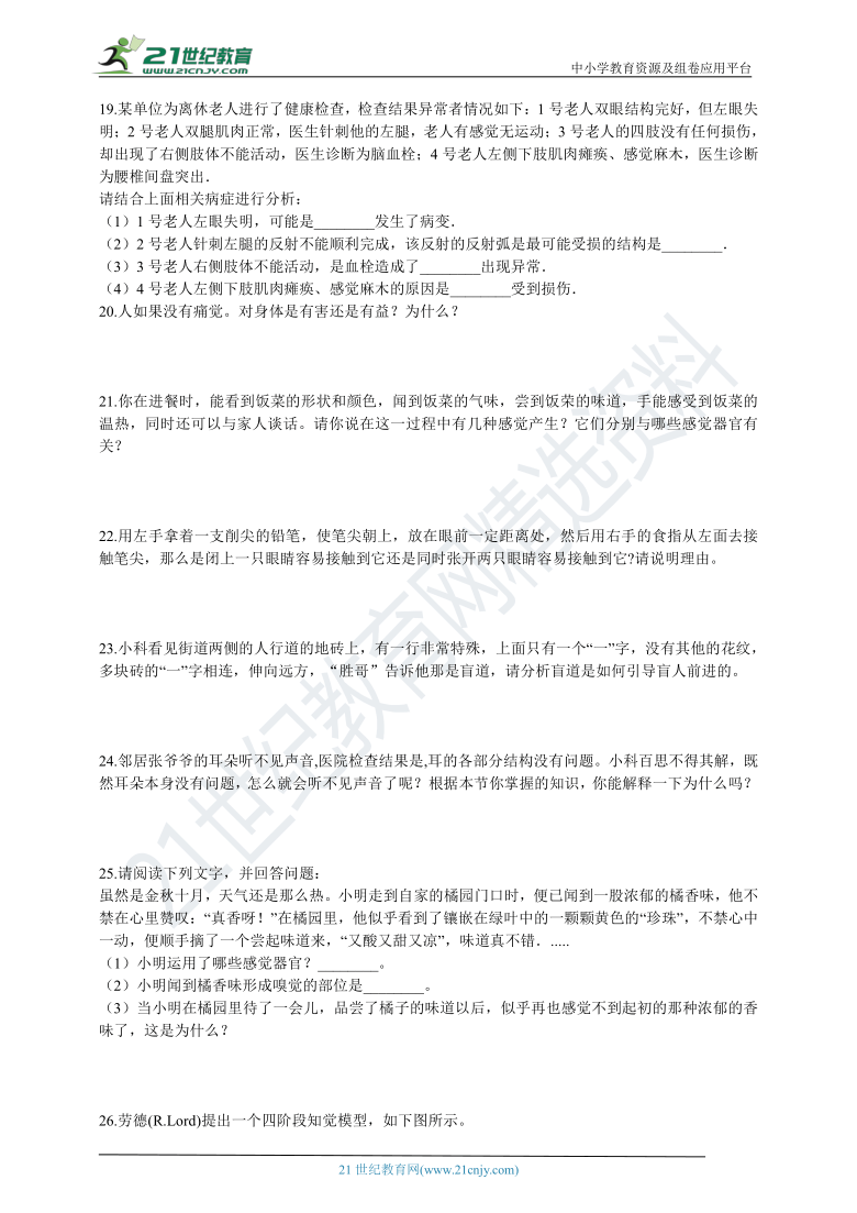 探索大乐透最新开奖中3加1的奇妙世界，揭秘与策略指南