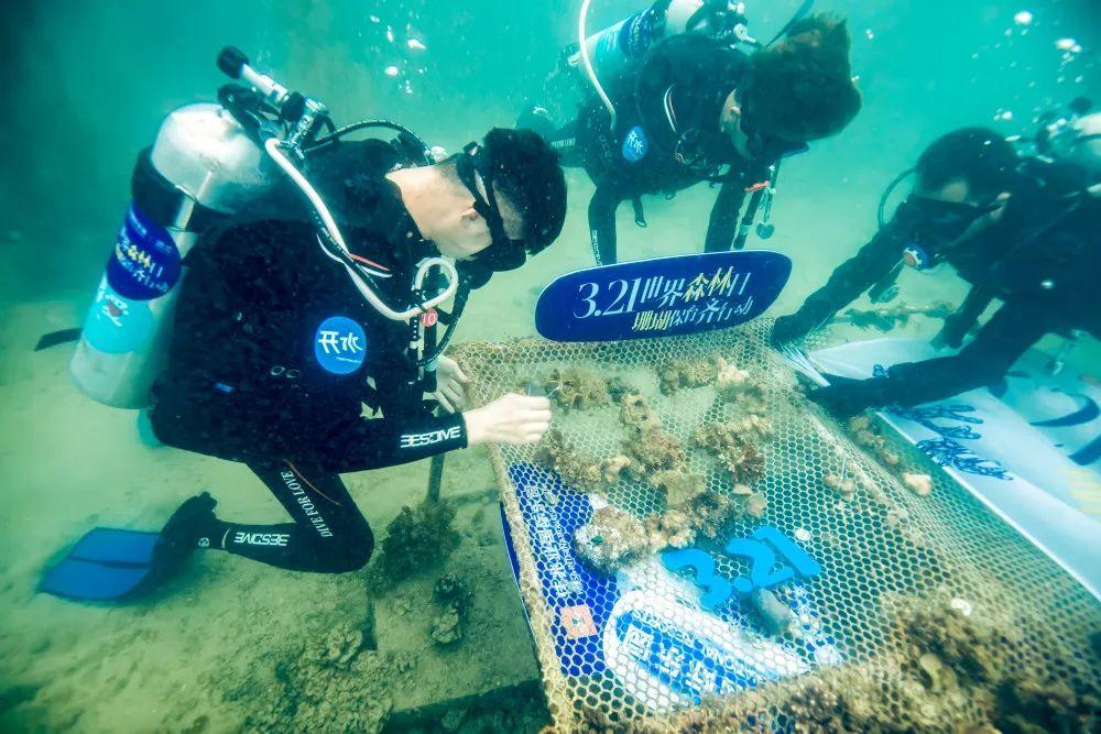 专家预测分析汇总，2035年全球科技与经济展望