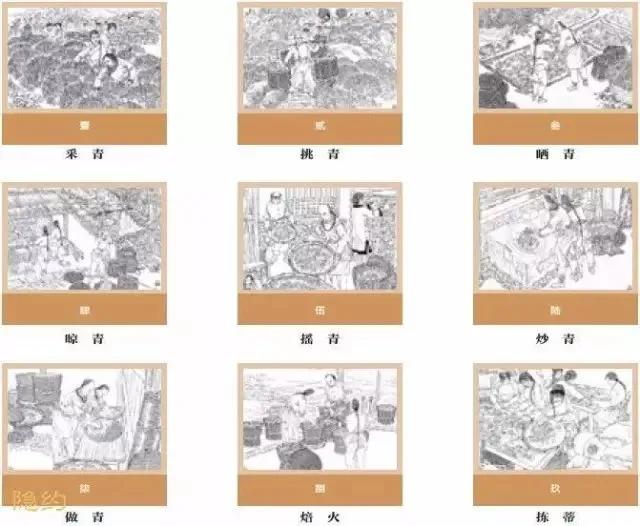 探索天牛3D图与红五图的奥秘，深度汇总与分析天牛3d图红五图库汇总千元报