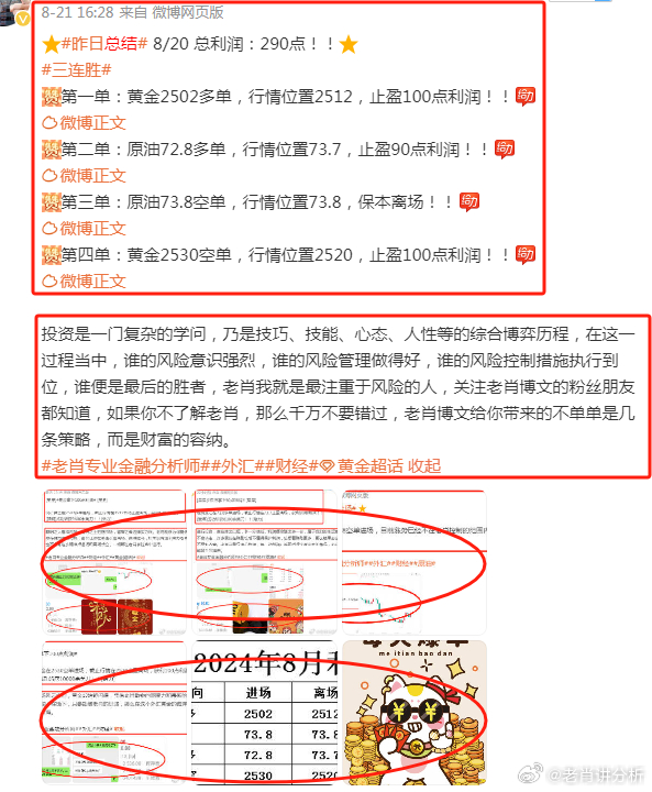 揭秘澳门管家婆资料，正版大全的真相与风险警示