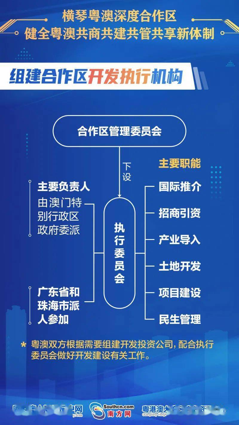 揭秘新澳内部资料精准一码，深度解析与风险警示澳门内部正版资料大全一