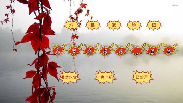 曾道正版资料免费大全，一肖的真相与反思曾道正版资料免费大全一肖一码港彩大众网