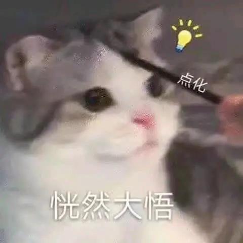 澳门正版资料大全，揭秘澳彩的真相与风险花仙子澳门正版资料大全