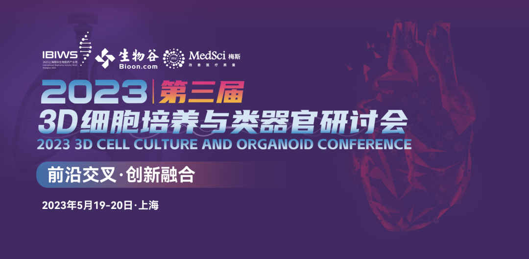 2036年澳门正版资料大全，全面解析与未来展望2023澳门正版资料大全更新利率信息查询