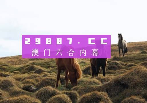 曾道正版资料免费大全，一肖之谜的探索与启示曾道正版资料免费大全一肖一码港彩大众网