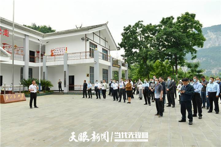6合开奖，数字游戏中的幸运与智慧6合开奖网址