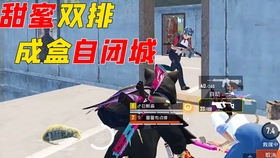 火凤凰高手论坛，网络时代的智慧碰撞与成长之旅火凤凰高手论坛官网