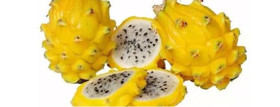 探索未知的数字世界，揭秘www.2935068741com