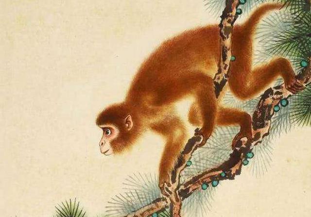 今晚四不像生肖图，神秘与趣味的完美融合今晚四不像生肖图正版四不像3期