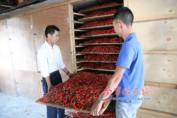 王中王王中王免费资料大全一