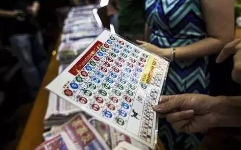 2031年香港港六彩，数字背后的文化与期待2021年香港港六 彩开奖号码1