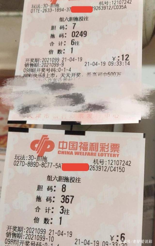 2035年新澳门今晚开奖结果查询，理性看待彩票，享受生活乐趣2025新奥门今晚开奖结果查询73期