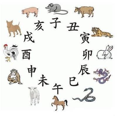 探索新奥门六彩生肖卡，解锁娱乐与幸运的钥匙澳门生肖卡2020年图片
