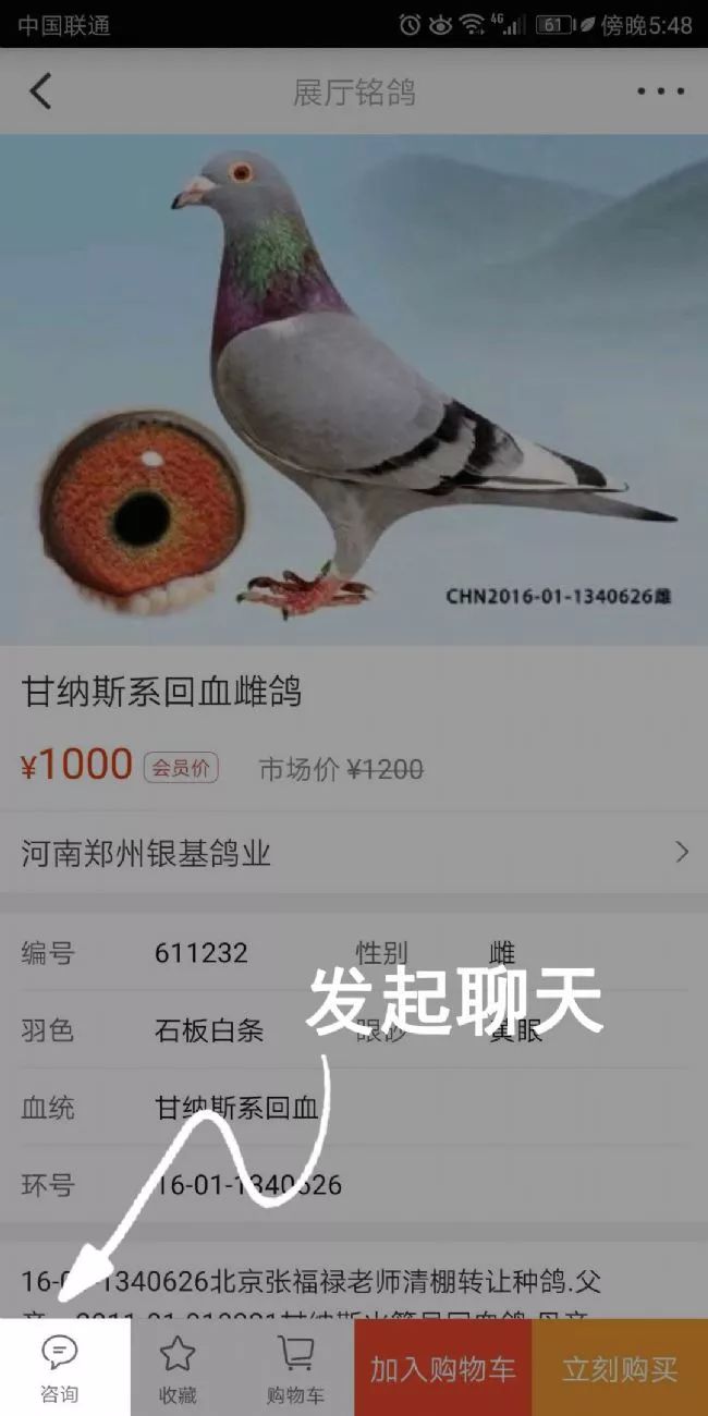 2015年新澳门今晚开奖结果查询，最新消息汇总与分析奥门开奖结果2020+开奖记录下载奥门彩网