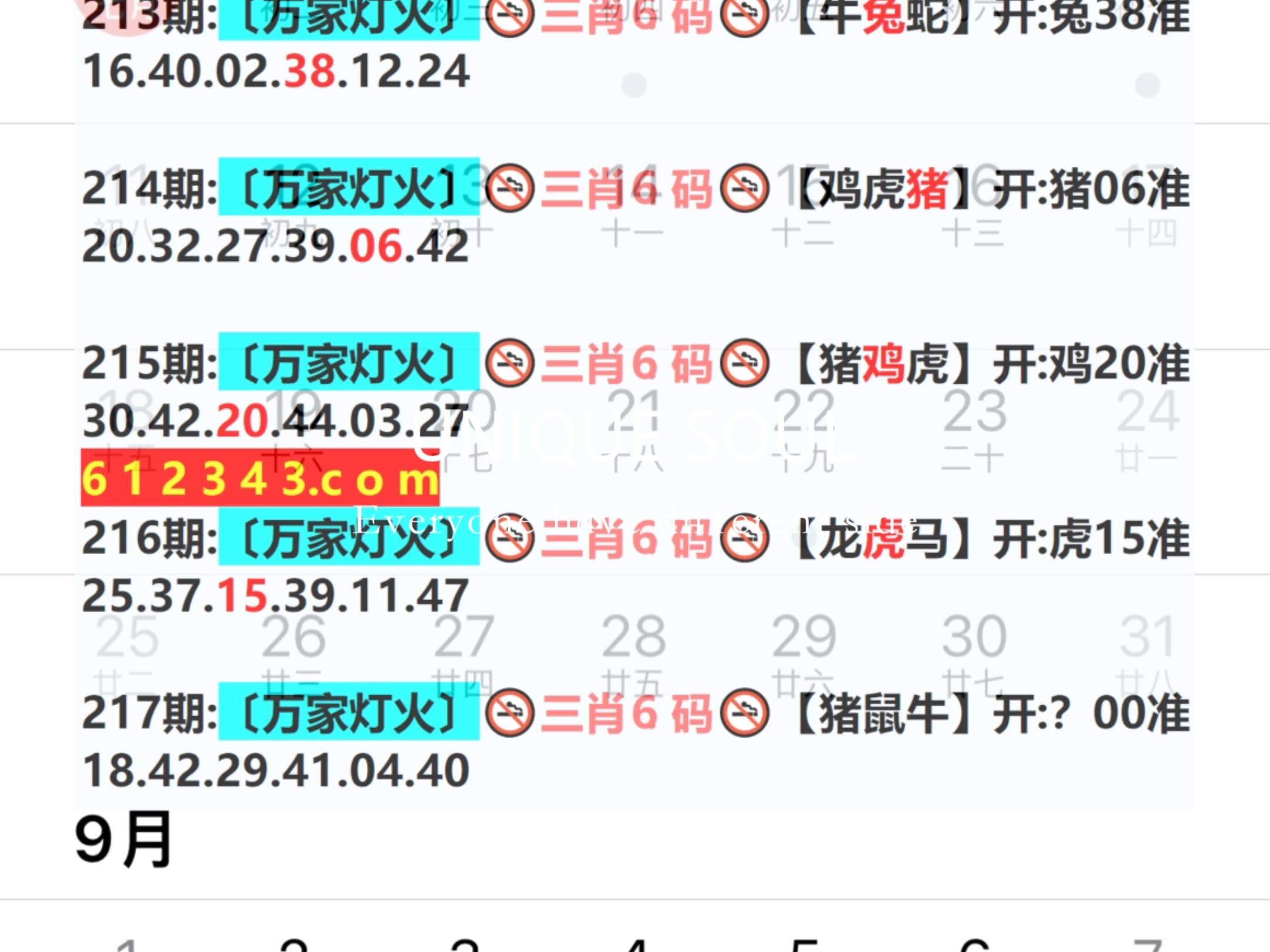 新奥门319期资料介绍及最新消息速递新奥门319期资料介绍最新消息今天